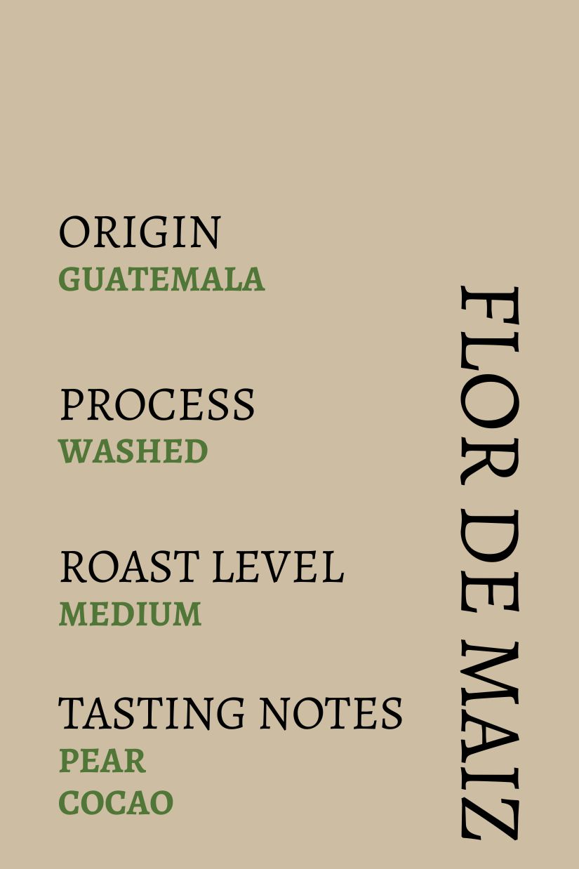 Guatemala Flor De Maiz