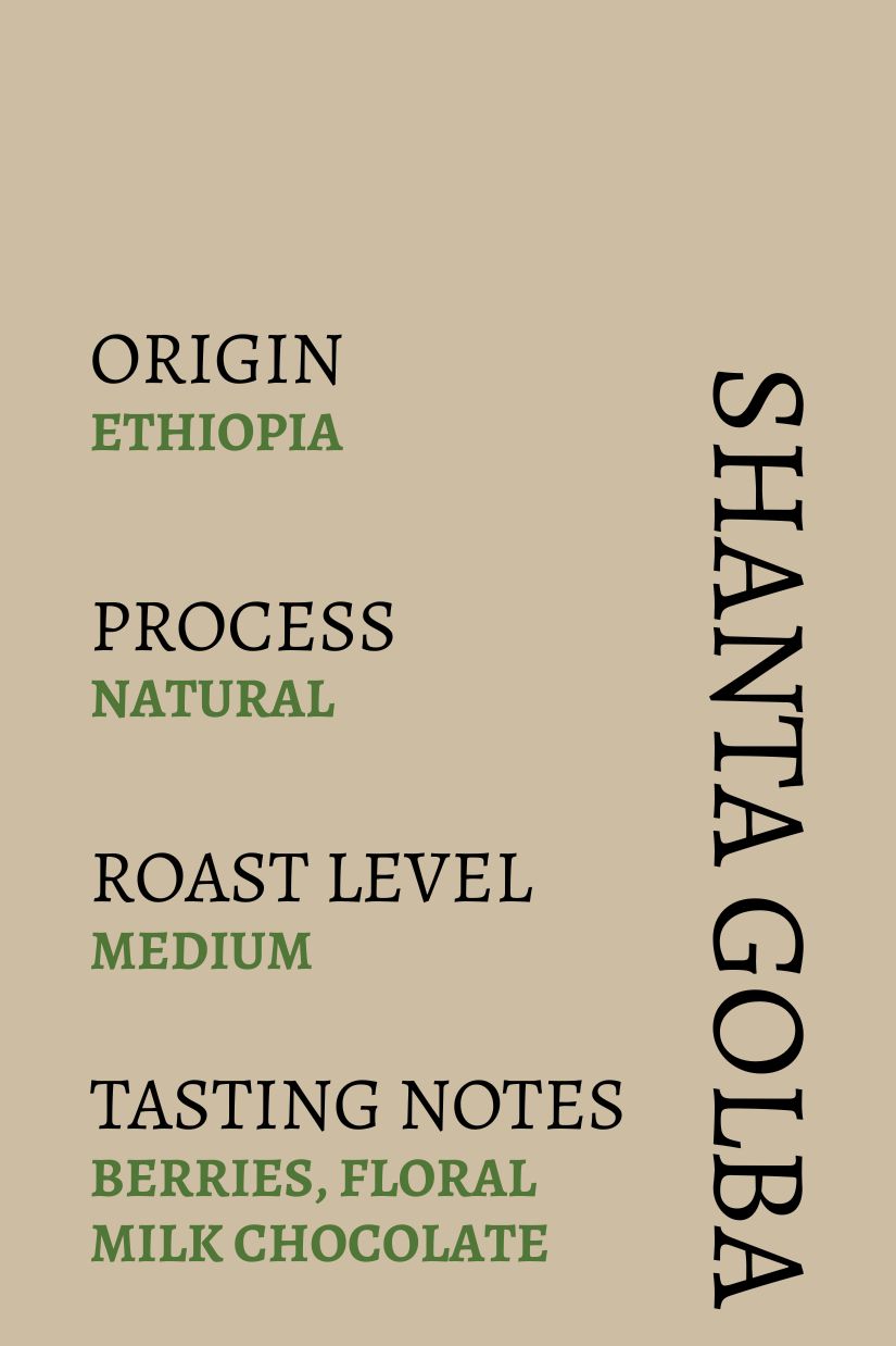 Ethiopia Shanta Golba