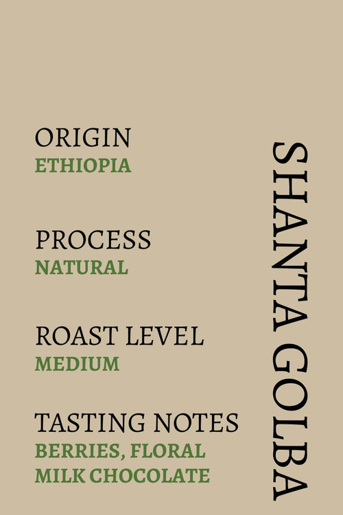 Ethiopia Shanta Golba