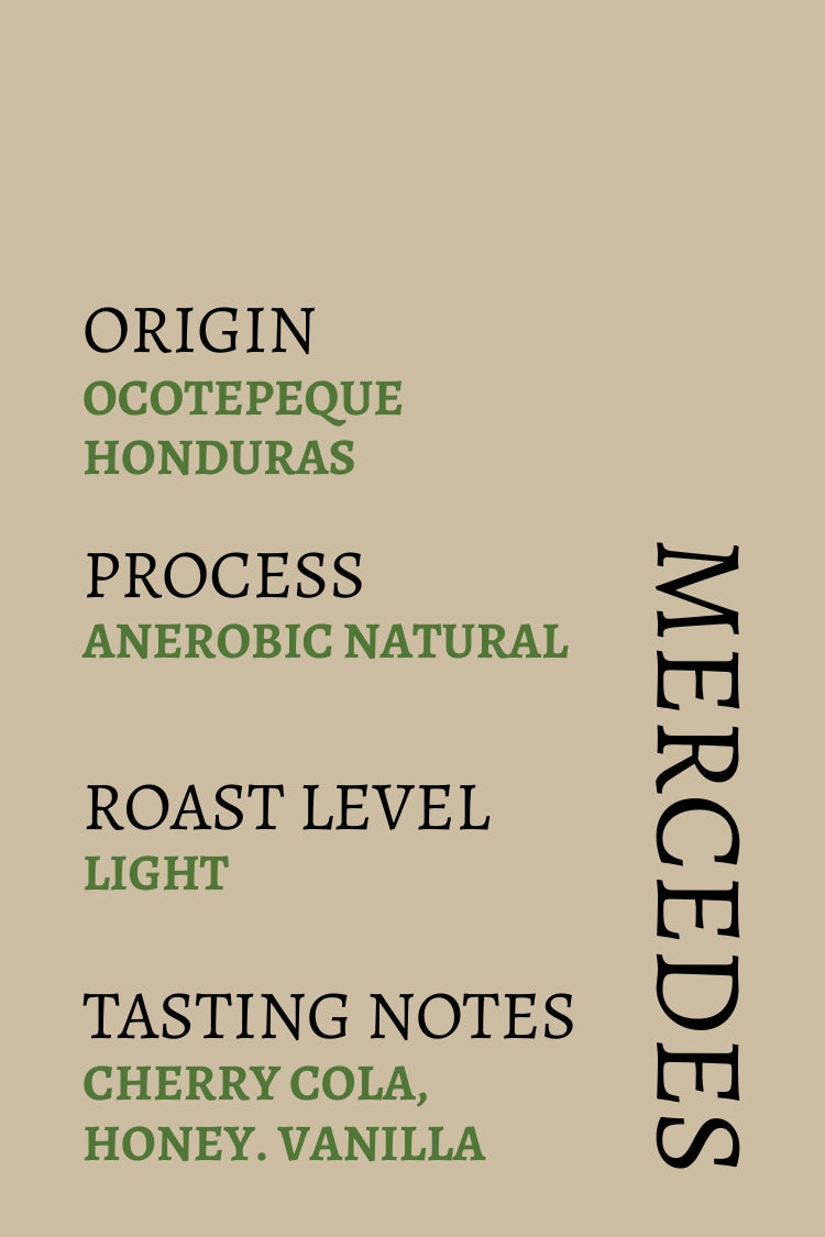 Hondurad Mercedes Anerobic Natural
